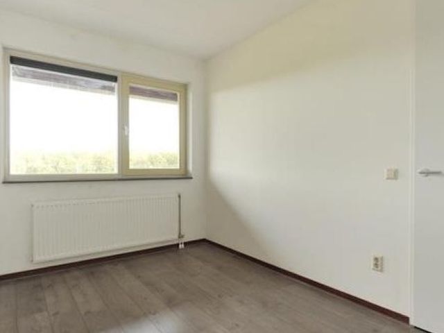 Bergermeerstraat , Den Haag