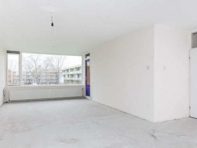 Meijhorst , Nijmegen