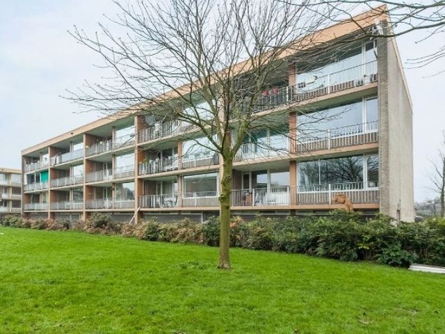 Meijhorst , Nijmegen