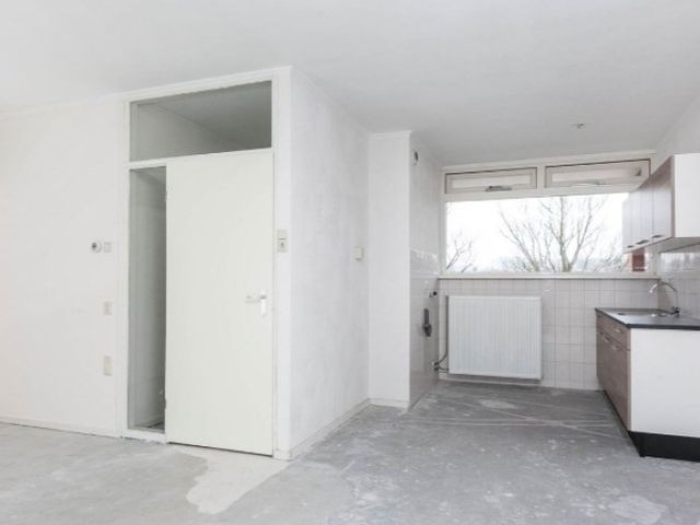 Meijhorst , Nijmegen