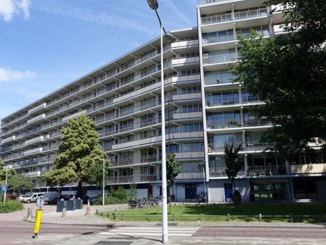 Arendshorst , Leiden