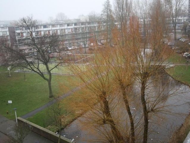 Arendshorst , Leiden