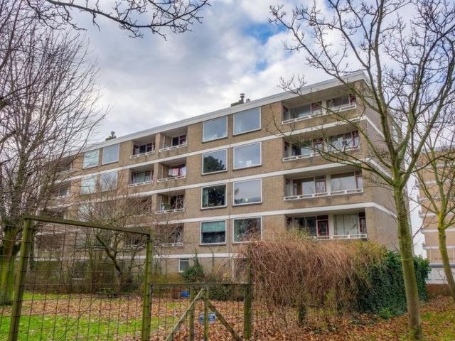 Cesar Franckstraat , Leiden