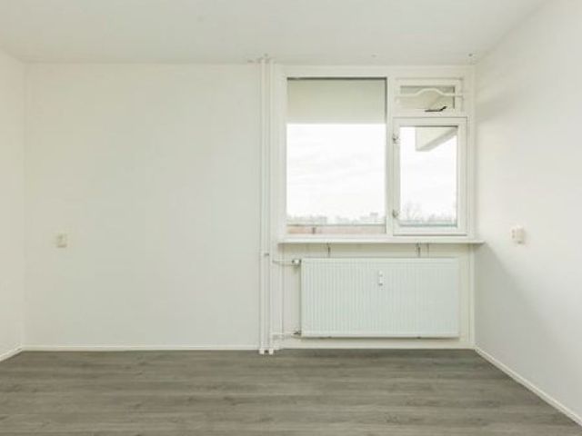 Cruquiuslaan , Leiden