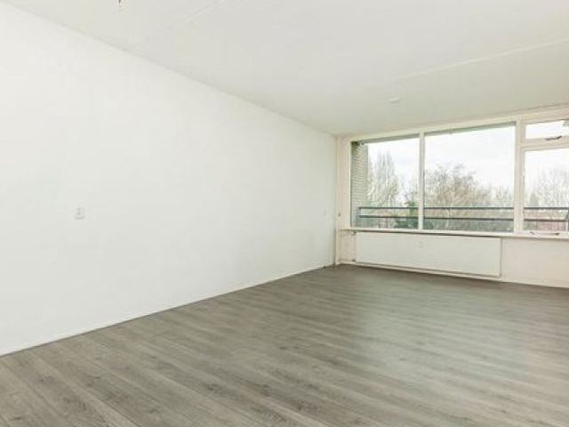 Cruquiuslaan , Leiden