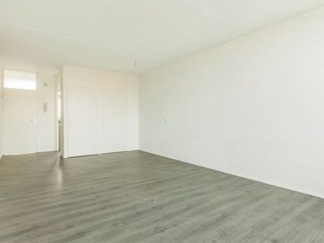 Cruquiuslaan , Leiden