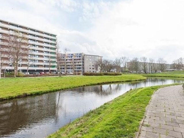 Cruquiuslaan , Leiden