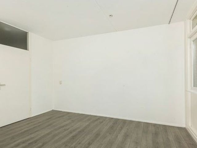 Cruquiuslaan , Leiden