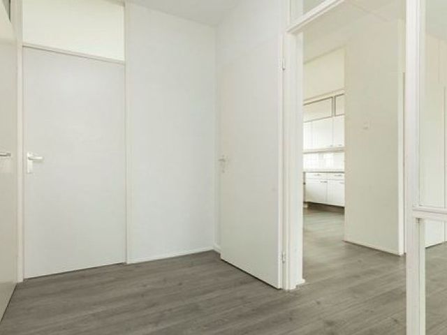 Cruquiuslaan , Leiden