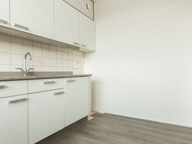 Cruquiuslaan , Leiden