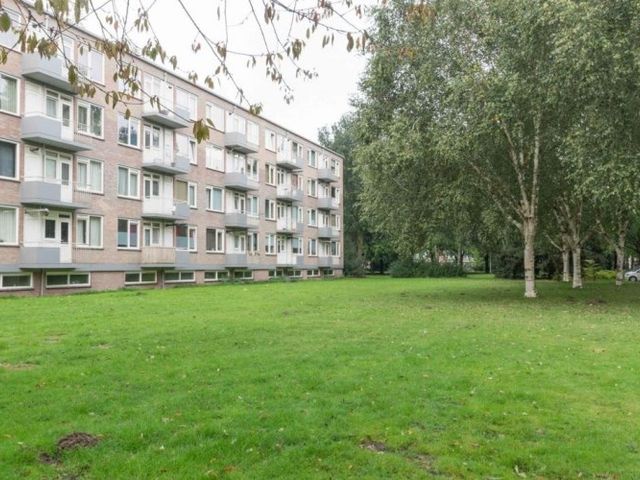 Europalaan , Tilburg