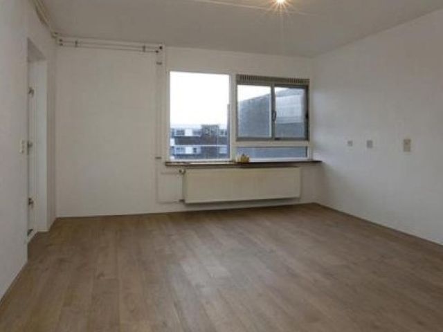 Ringbaan-Zuid , Tilburg