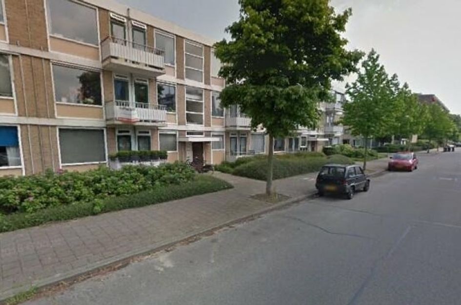 Hijmans van Den Berghlaan 