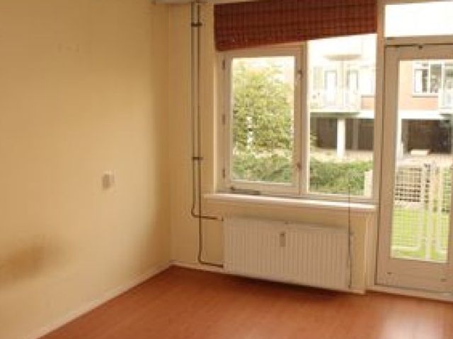 Vlinderstraat , Rotterdam