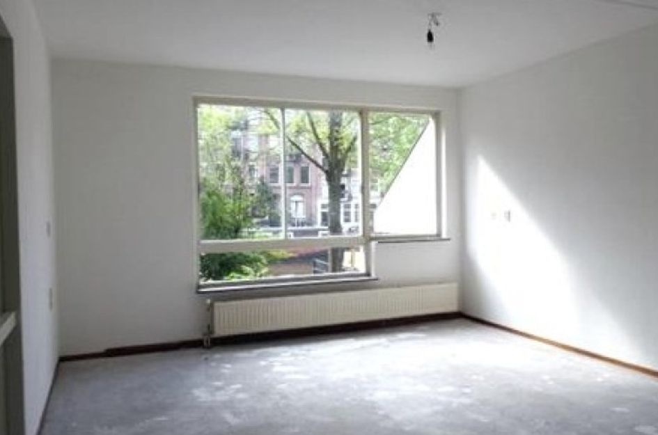 Adriaen van der Doeslaan 