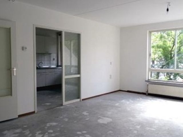 Adriaen van der Doeslaan , Rotterdam