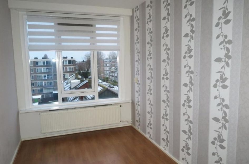 Menno Ter Braakstraat 