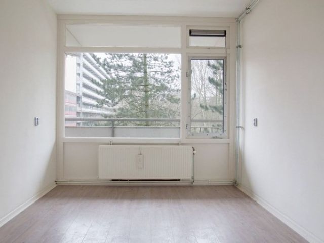 Spuikreek , Rotterdam