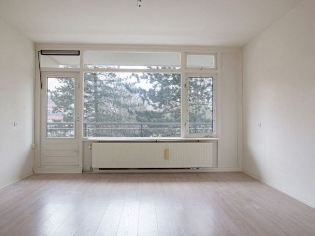 Spuikreek , Rotterdam