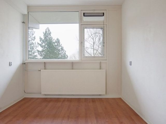 Spuikreek , Rotterdam