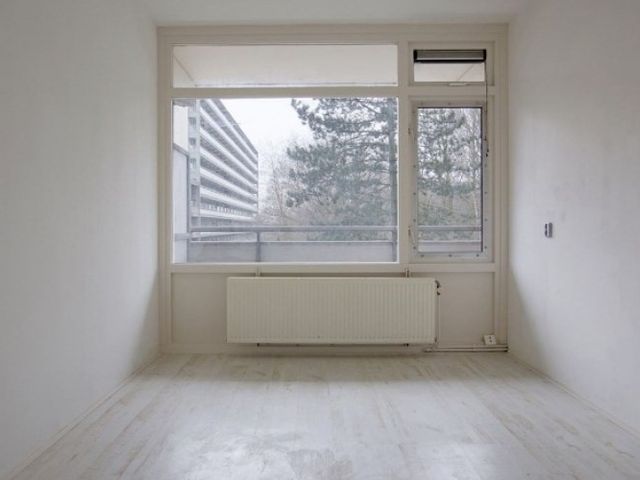 Spuikreek , Rotterdam