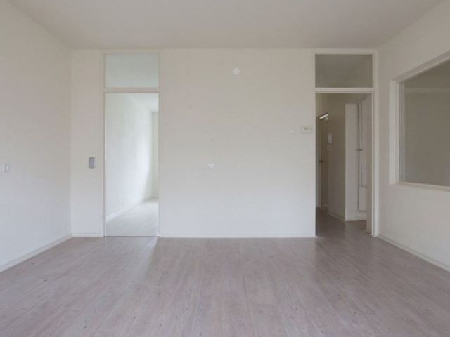 Spuikreek , Rotterdam