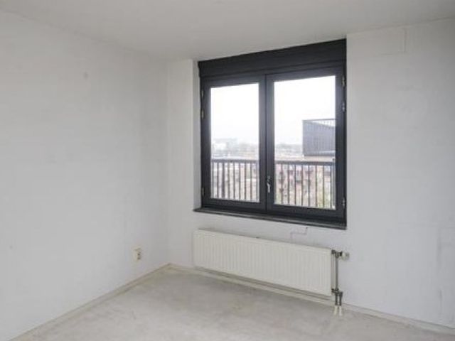 Vuurplaat , Rotterdam