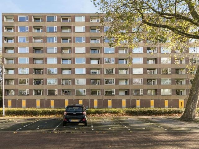 Fluitekruidweg , Zaandam