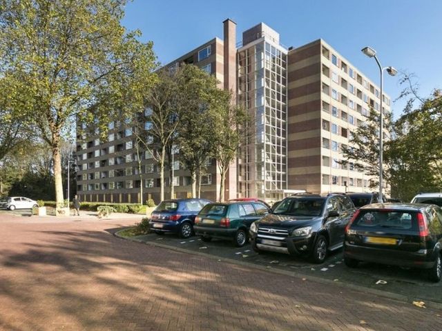 Fluitekruidweg , Zaandam