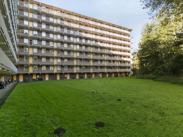 Fluitekruidweg , Zaandam