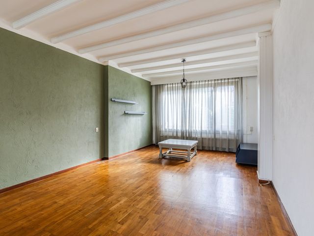 Pannenstaartweg 49, Maasbracht