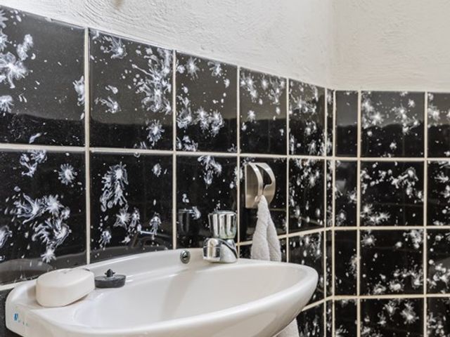 Pannenstaartweg 49, Maasbracht