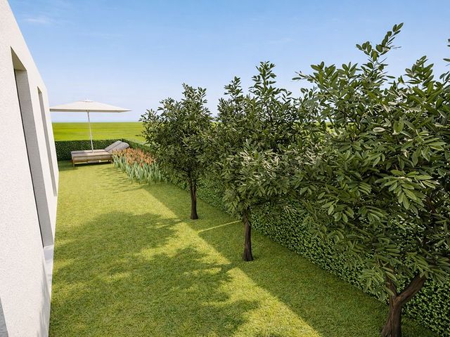 Maasbrachterweg , Echt