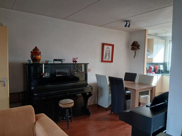 Stijgbeugel 19, Zwaag