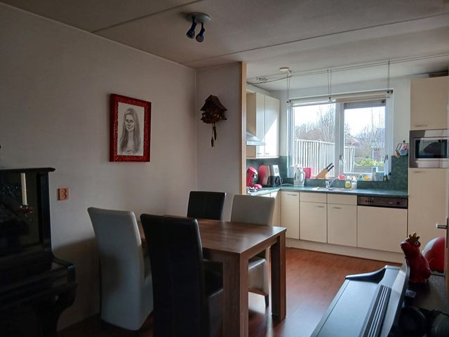 Stijgbeugel 19, Zwaag