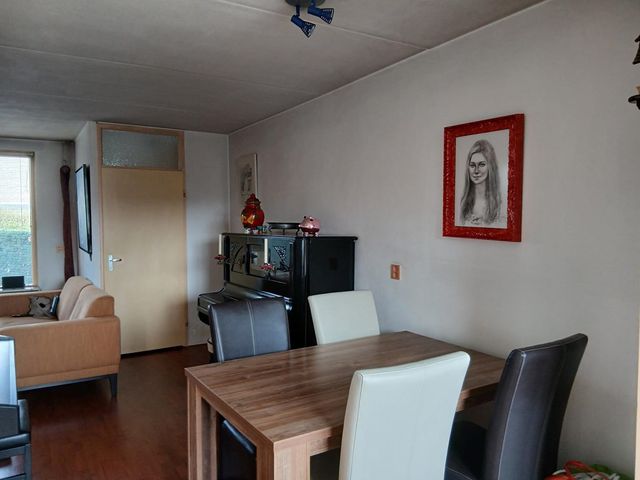 Stijgbeugel 19, Zwaag