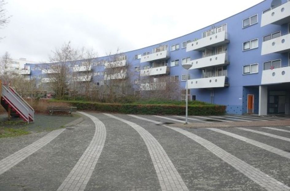 Peter Sellershof ONG