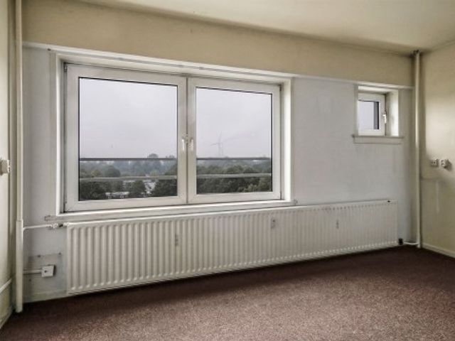 Dierenriem ONG, Amsterdam