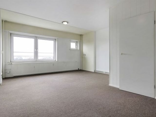 Dierenriem ONG, Amsterdam