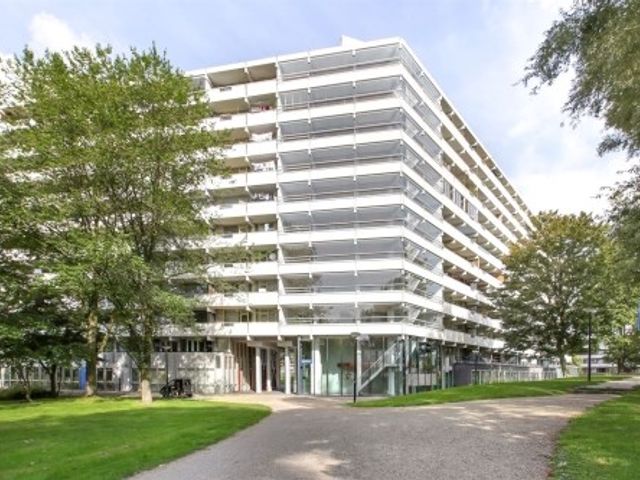 Grubbehoeve ONG, Amsterdam