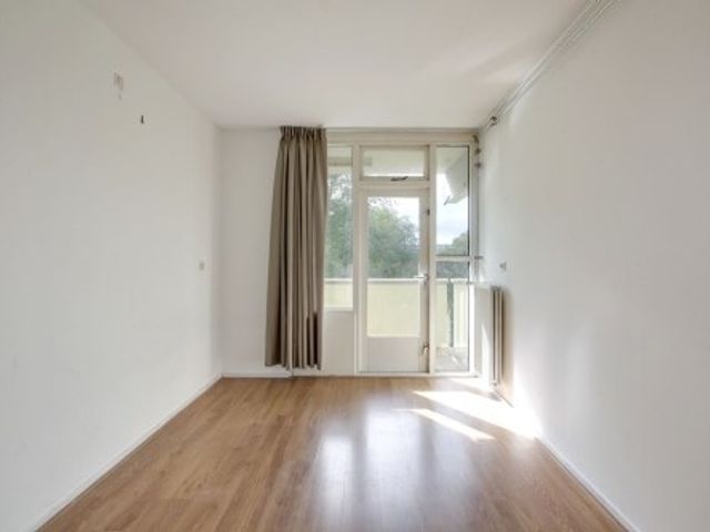 Grubbehoeve ONG, Amsterdam