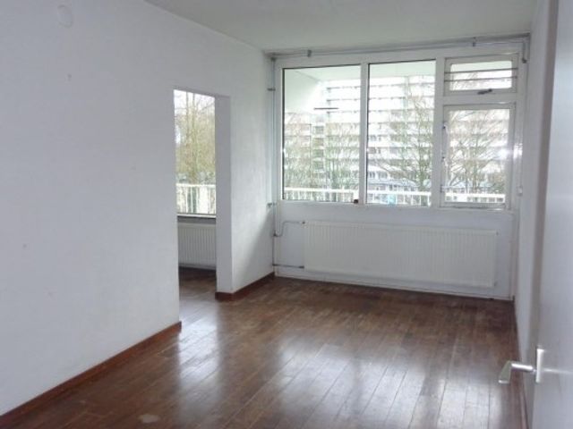 Hofgeest ONG, Amsterdam