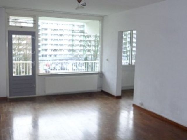 Hofgeest ONG, Amsterdam