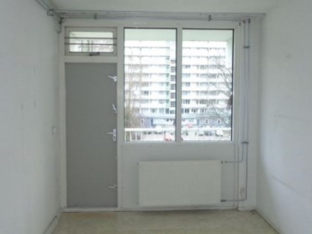 Hofgeest ONG, Amsterdam