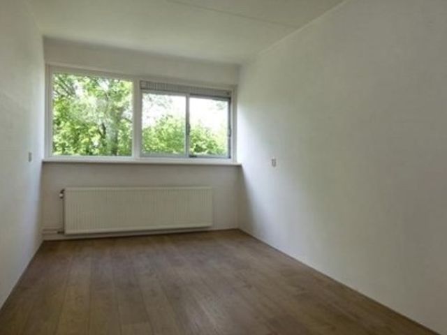 Renkumhof ONG, Amsterdam