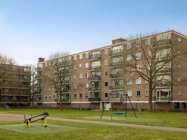 Maassingel ONG, 's-Hertogenbosch