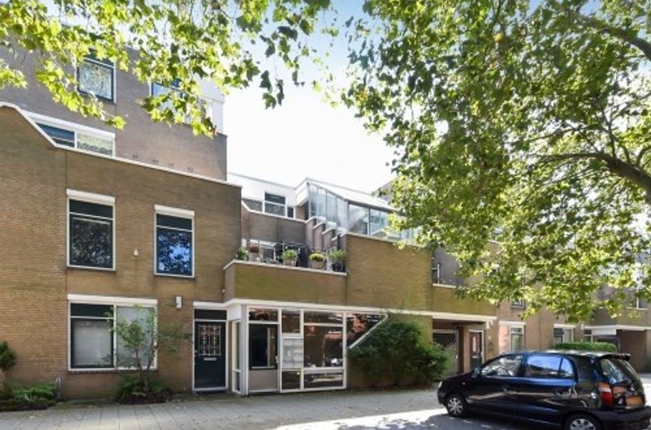 Laan van de Mensenrechten ONG