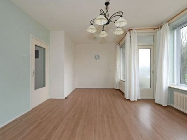 Wezelrade ONG, 's-Gravenhage