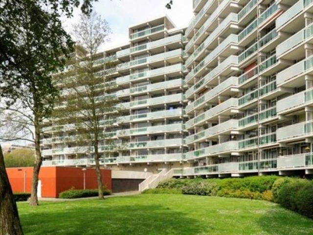 Forellendaal ONG, 's-Gravenhage