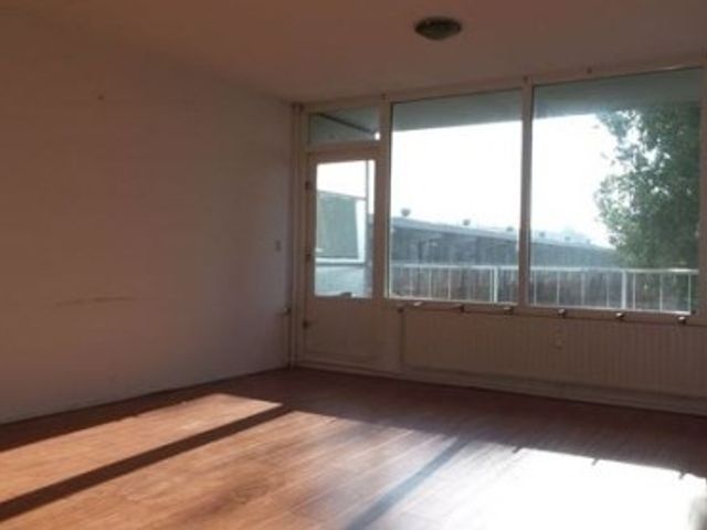 Milanenhorst ONG, Leiden